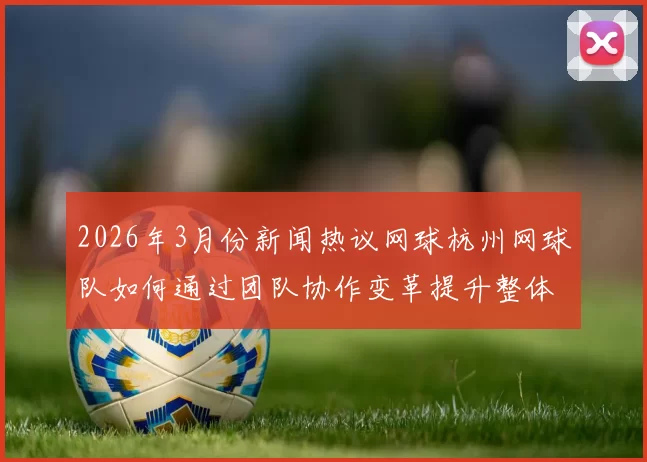 2026年3月份新闻热议网球杭州网球队如何通过团队协作变革提升整体竞技水平与凝聚力